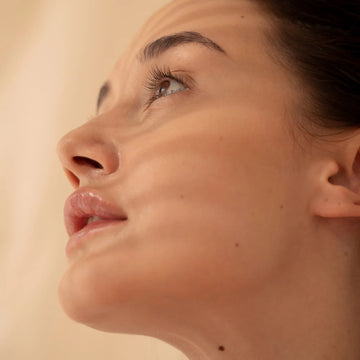 Egyptian Cotton vs. Bamboo Bedding: Which Should You Choose?