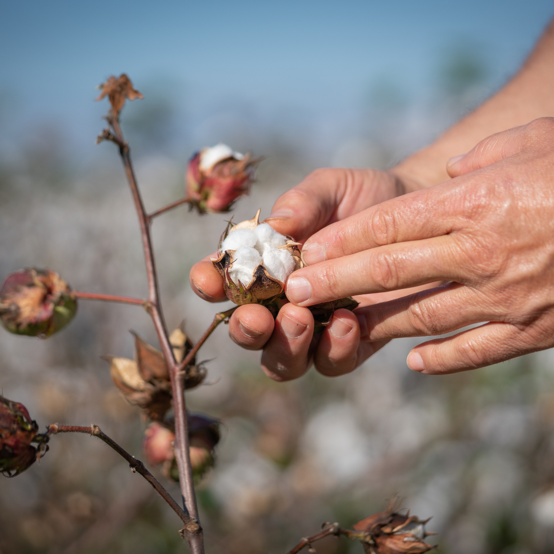 Why Ethical Bedding Matters (And How Katin Life Is Leading the Change)