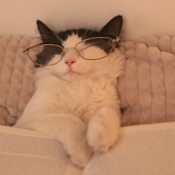 The Viral 2-Minute TikTok Sleep Hack That's Actually Backed by Science