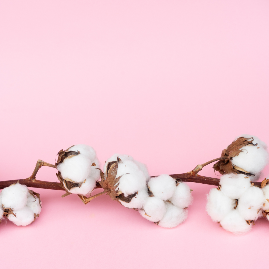 Not All Cotton Is Created Equal: Why Egyptian Cotton Is in a League of Its Own ✨