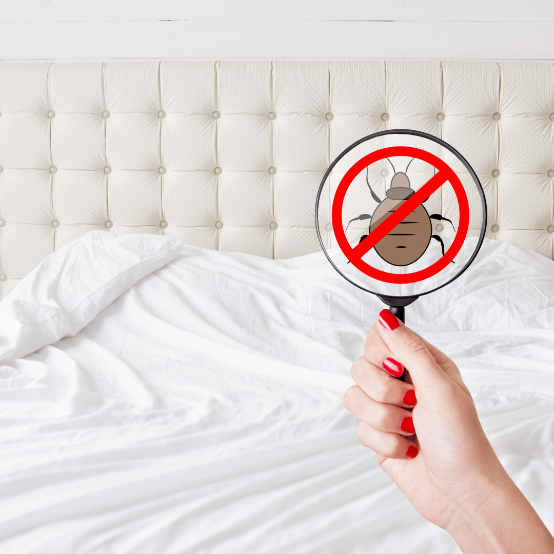 Your Bedsheet Is Probably Disgusting (And It’s Making You Sick)