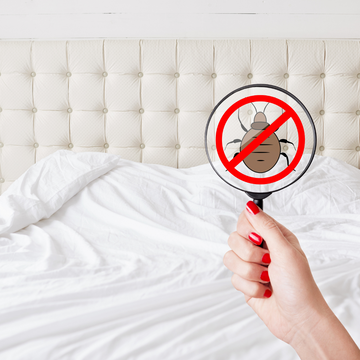Your Bedsheet Is Probably Disgusting (And It’s Making You Sick)