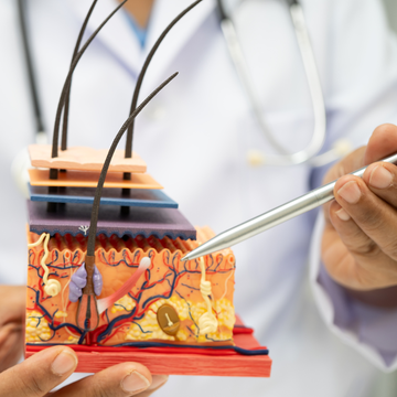 Why Dermatologists Consistently Recommend Egyptian Cotton for Sensitive Skin and Better Sleep