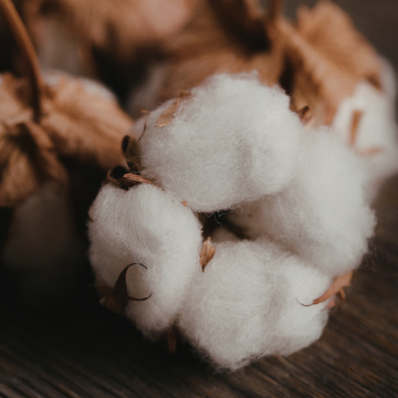 Egyptian Cotton: The Gold Standard of Bedding (And Why Nothing Else Comes Close)