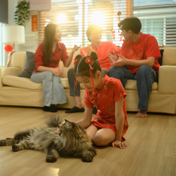 Chinese New Year Sale: Why Changing Your Bedsheets Matters More Than You Think